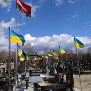 ДР ОУН відзначив День Українського Добровольця