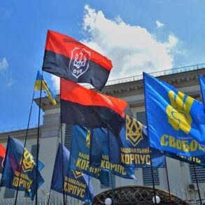 Де Роман Біленький? - пікет московської амбасади